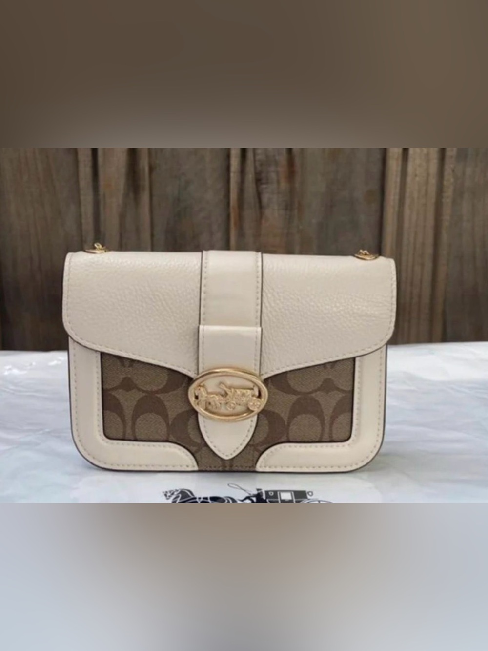 Rare Coach Wallet Crossbody – Stunning & Unique Color